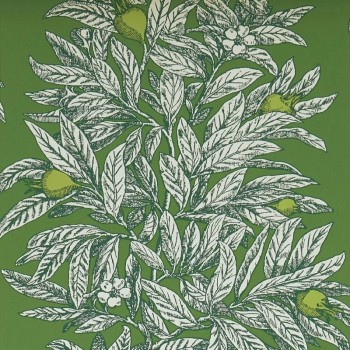 Medlar green