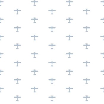 Avion bleu ciel