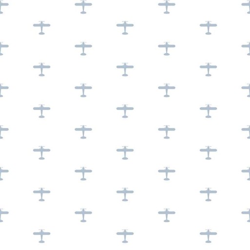 Avion bleu ciel