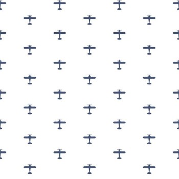 Avion bleu