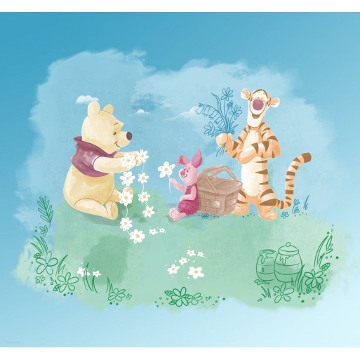 Winnie the pooh picnic