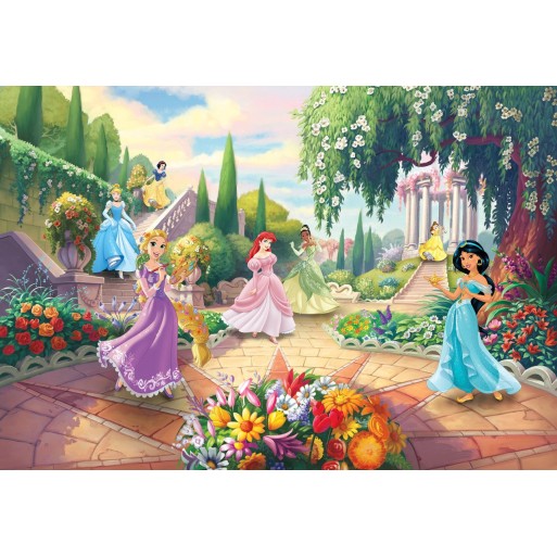 Disney princess park