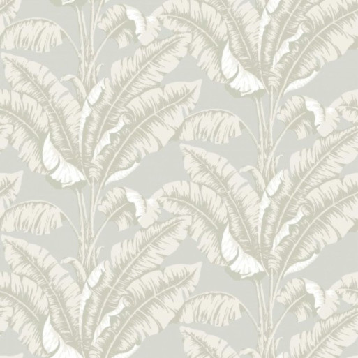 La Havane Beige