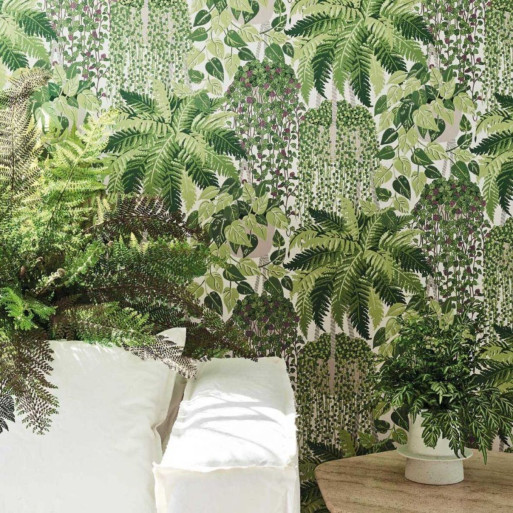 Fern