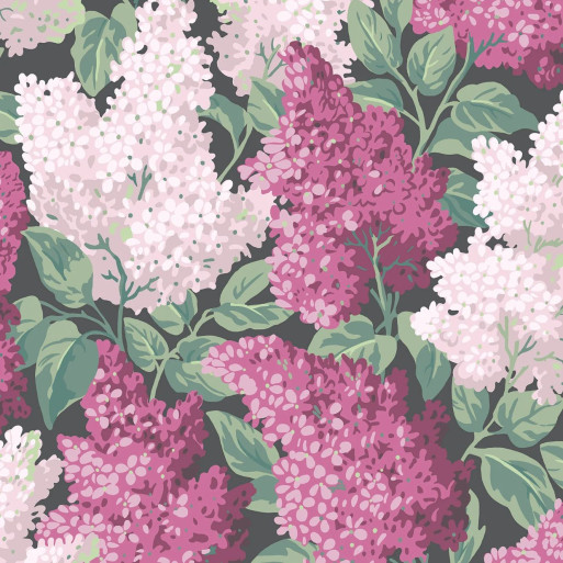 Lilac 115/1001