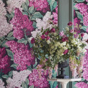 Lilac Grandiflora