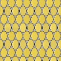 L'illusion jaune
