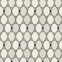 L'illusion Gris