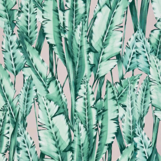 Tiger Leaf Mint / Blush