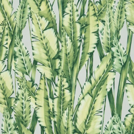 Tiger Leaf Green