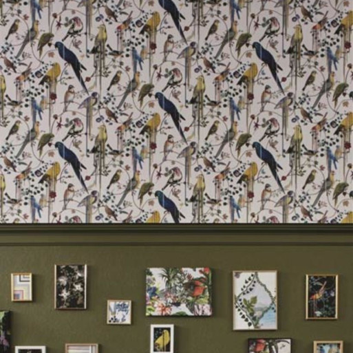 Birds Sinfonia