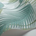 Palm Jungle