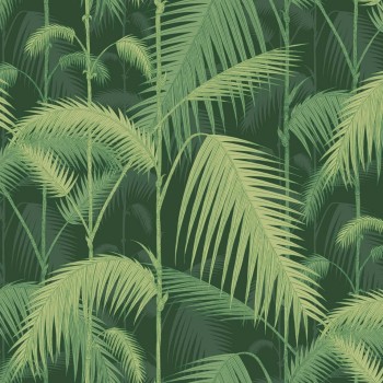 Palm Jungle
