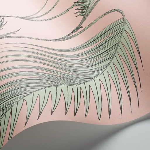 Palm Leaves