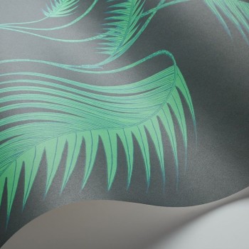 Palm Leaves