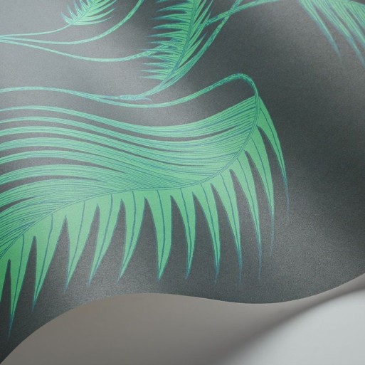 Palm Leaves