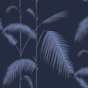 Palm Leaves