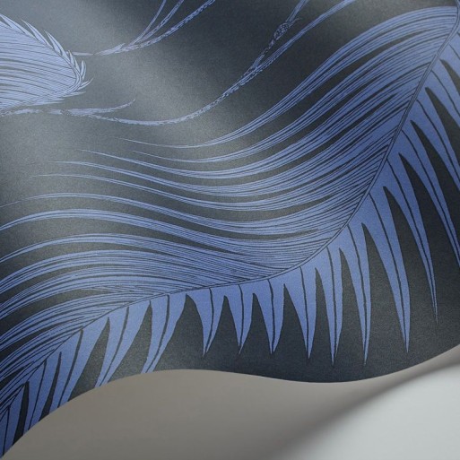 Palm Leaves