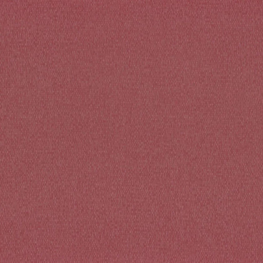 Roseau baie de rose 75133678