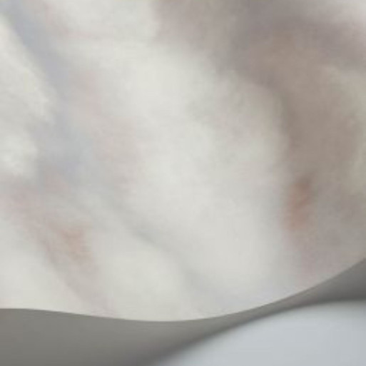 Fresco Sky