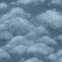 Fresco Sky midnight