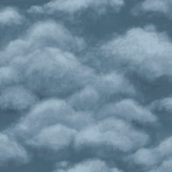 Fresco Sky midnight
