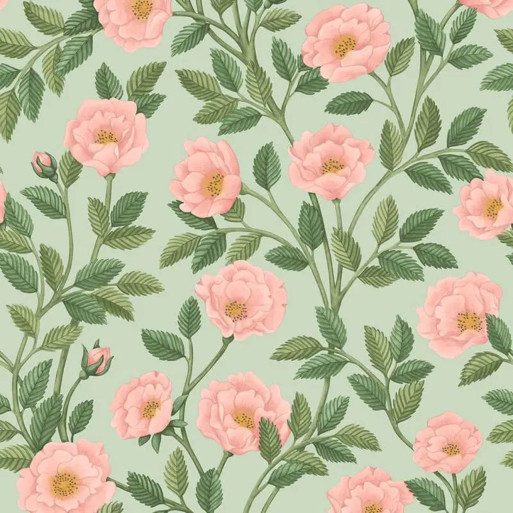 Hampton rose