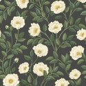Hampton roses cream