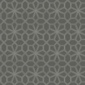 Wolsey stars noir