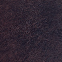 Movida La grande forêt VP 625 44