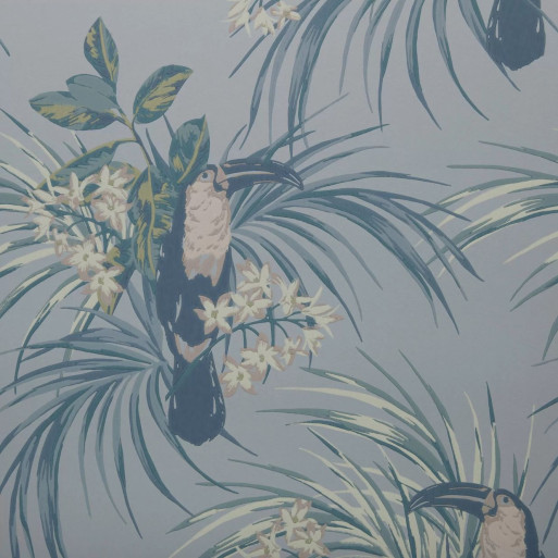 Le toucan pale blue 1907-135-01