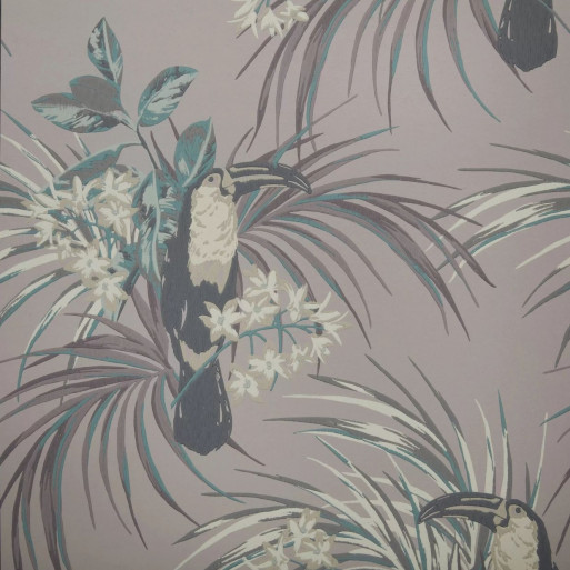 Le toucan rose 1907-135-02