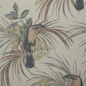 Le toucan charcoal 1907-135-05