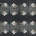 Noirs Désirs
