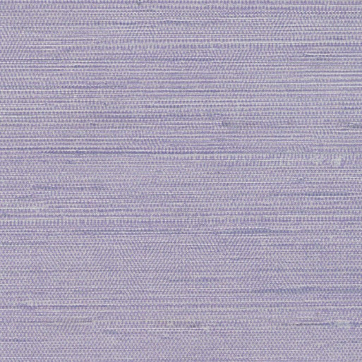 Séduction stylisée VP 750 31
