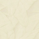 Musa 75 005