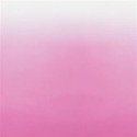 Saraille Fuchsia