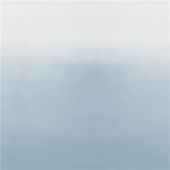 Saraille Sèvre 600/15