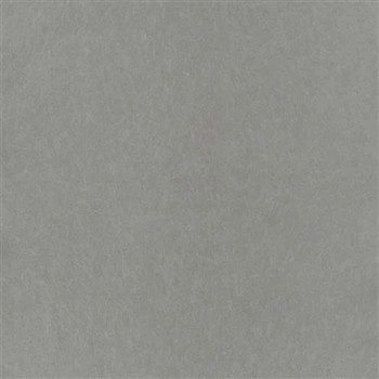 Ernani graphite