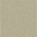 Torlonia Gold