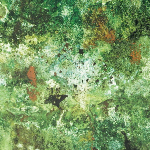 Papier peint Vert De Gris