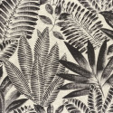 Aloes noir 75183886