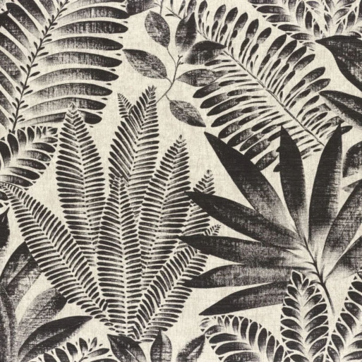 Aloes noir 75183886
