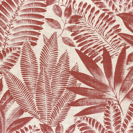 Aloes terracotta
 75183682