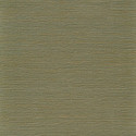 Malacca Cactus B74642038