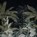 Olea Noir 74840272