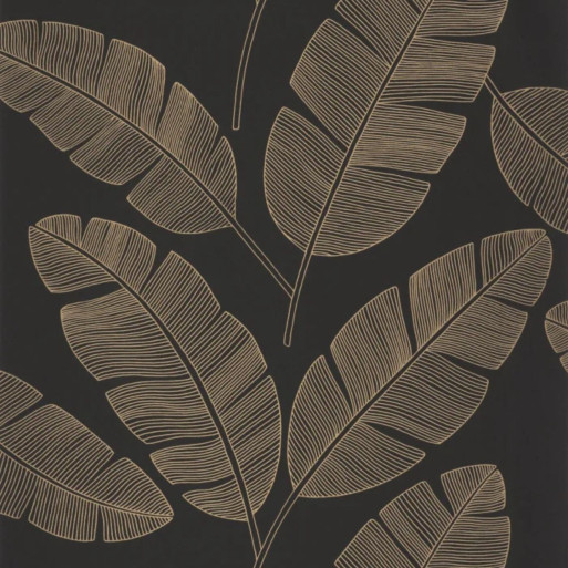 Banana tree noir 101099007