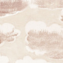 Clouds rose 23134