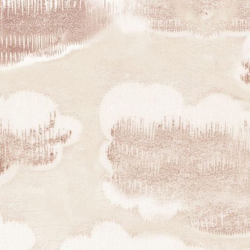 Clouds rose 23134