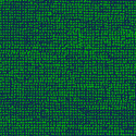 Orkanen vert 23310